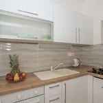 Pinto * マカルスカ